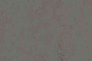 Линолеум Forbo Marmoleum Decibel on Order 370335 comet фото  | FLOORDEALER